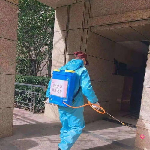 安全大過天 防寒防疫兩不誤 以“防疫健康包”為抓手，全力守護業主健康安全